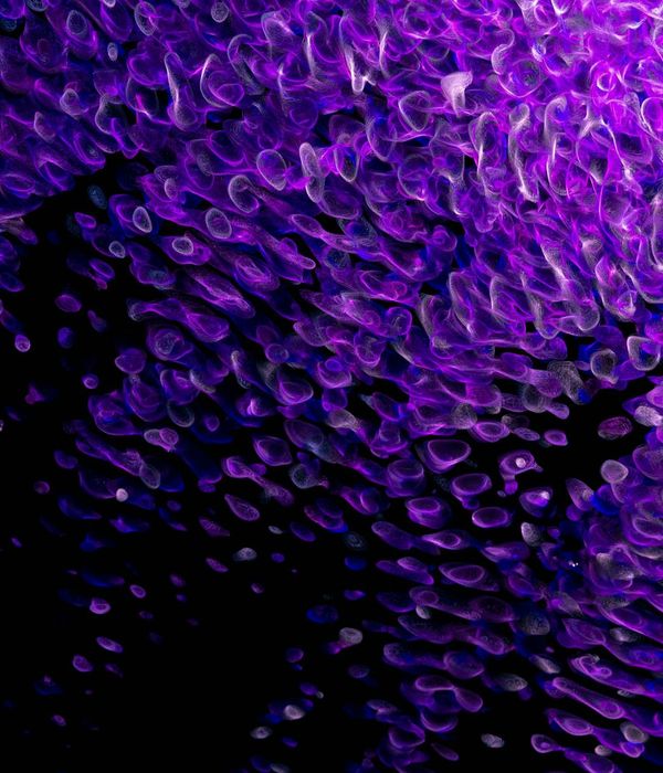 Abstract blue neon geometric shape representing balance and flow